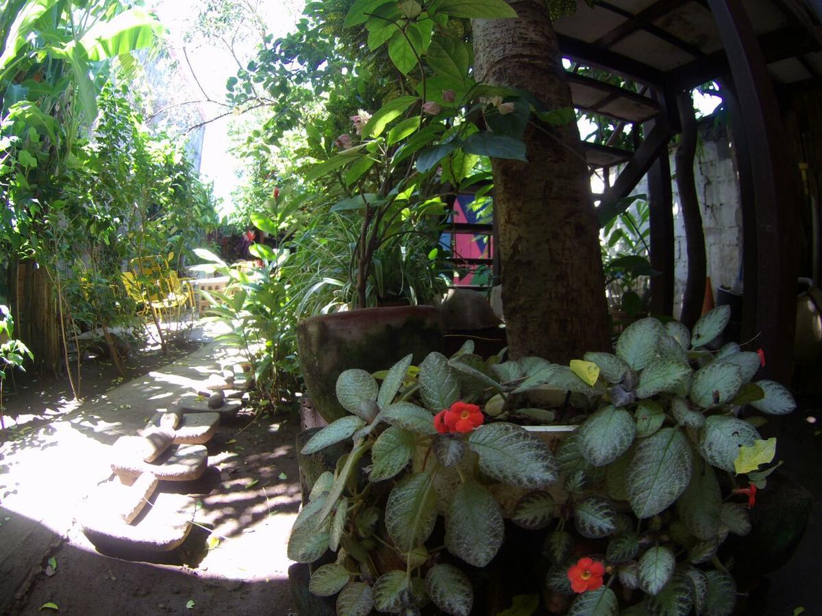 Museito De Carlos Ґранада Екстер'єр фото